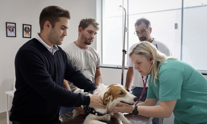 HVET Eduvale inicia atendimentos aos animais de estimação