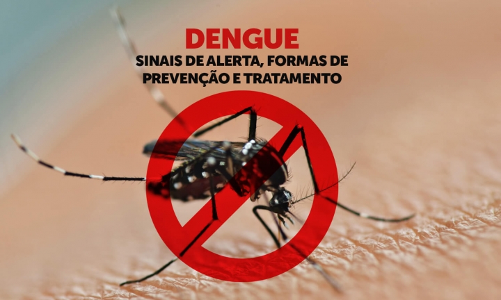 Evitar água parada é a melhor prevenção contra o Aedes aegypti