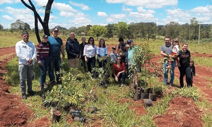 Moradores participam do plantio de mudas no bairro Avaré Golf Country