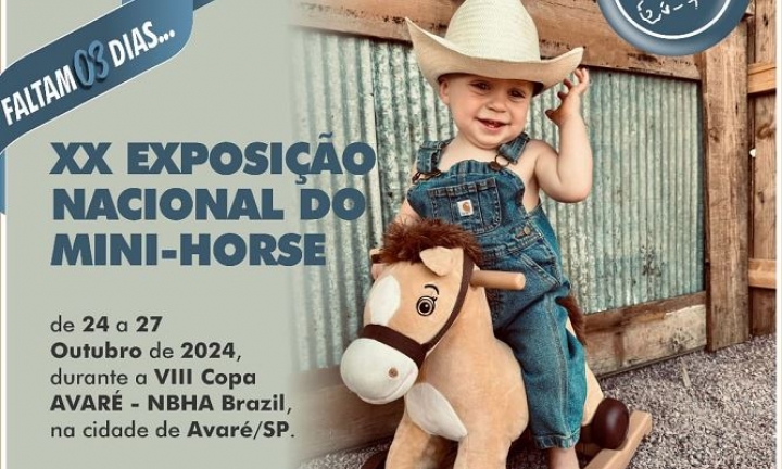 Avaré sedia de 24 a 27 de outubro a XX Exposição Nacional do Mini-Horse 