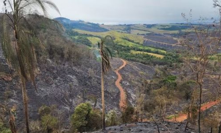 Governo de SP decreta situação de emergência em três cidades da região