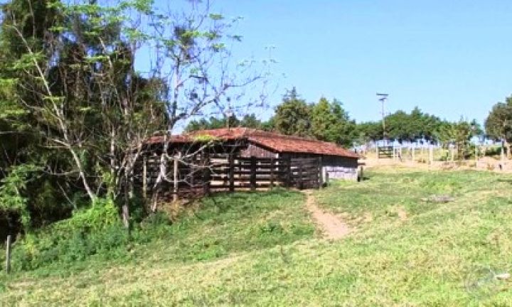 Propriedades rurais em Avaré sofrem com ações de marginais