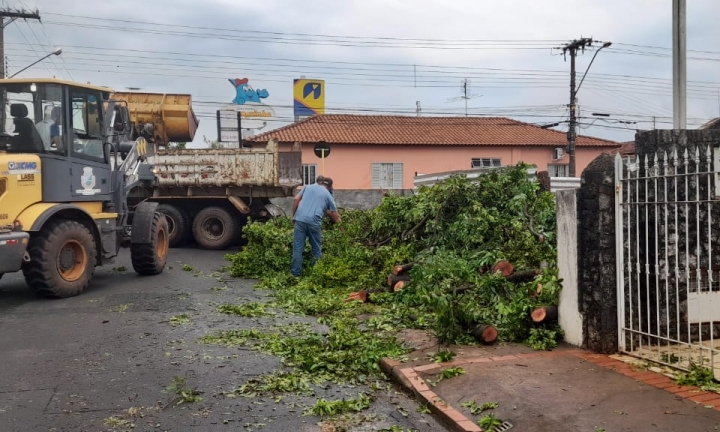 Prefeitura de Avaré trabalha para recuperar danos causados por vendaval