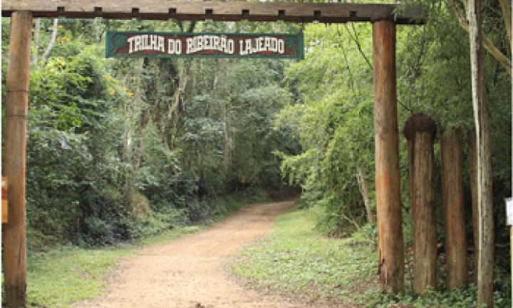 Trilha do Ribeirão Lajeado no Horto Florestal volta a reabrir para visitação