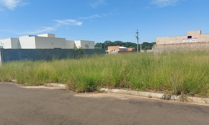 Moradores da Vila Jatobá reclamam do abandono do bairro pela prefeitura