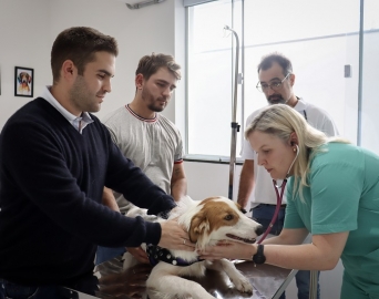 HVET Eduvale inicia atendimentos aos animais de estimação