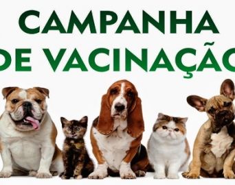 Raiva animal: Vacinação será de 17 a 22 de setembro