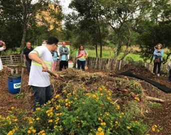 Curso gratuito de compostagem está com inscrições abertas