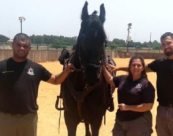 Comandante da Polícia Montada de Avaré visita base da cavalaria de Israel