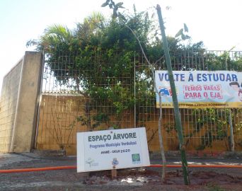 Escolas municipais recebem programa de arborização urbana