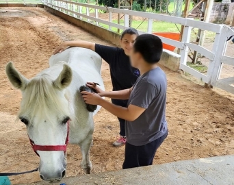 Fundação CASA de Cerqueira César firma parceria com centro de equoterapia