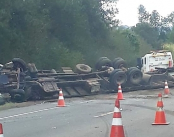 Caminhão com bois tomba após batida com carro em rodovia de Avaré