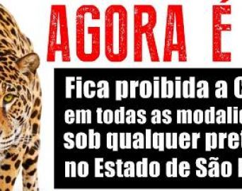 Caça de animais está proibida em todo o Estado de São Paulo