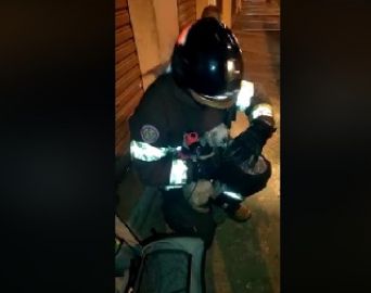 Bombeiros salvam cachorrinha em incêndio a residência