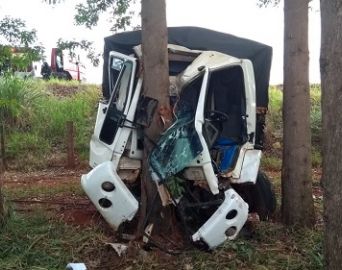 Motorista fica gravemente ferido após caminhão bater em árvore