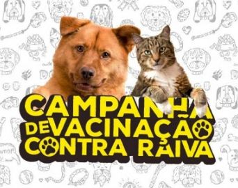 Vacinação contra a raiva encerra-se no sábado