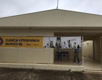 Clínica Veterinária reabre em outubro agendamento para castrações