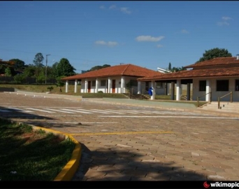 Grupo Verdes do Bem realiza plantio de árvores nativas e frutíferas em Avaré