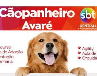 Cãopanheiro será realizado pela primeira vez em Avaré