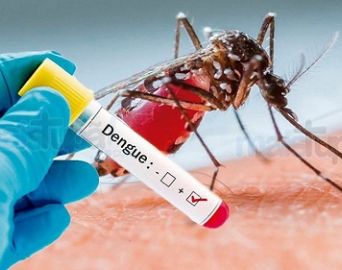 Avaré já registrou 10 casos positivos de dengue este ano