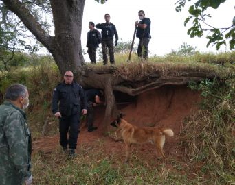 Com cães farejadores, Polícia prende 4 por tráfico em Avaré