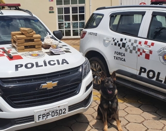 Polícia Militar prende dois homens com mais de 10 kg de drogas em Avaré