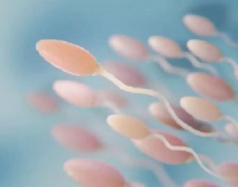 Novo anticoncepcional para homens está em fase de teste