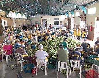 32ª Festa do Milho do Bairro Brabância tem início no dia 8 de março