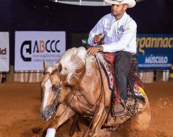 Evento da Associação Nacional do Cavalo de Rédeas começa na quarta