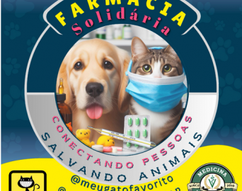 Meu Gato Favorito lança projeto inovador de Farmácia Solidária para Animais