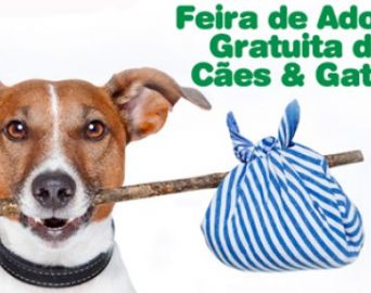 Amor de Quatro Patas promove Feirinha da Adoção