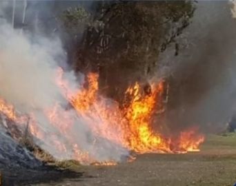 Corpo de Bombeiros registra mais de 100 queimadas na região