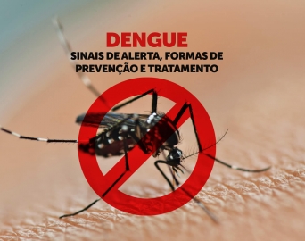 Evitar água parada é a melhor prevenção contra o Aedes aegypti