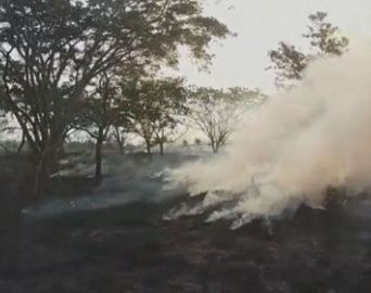 Incêndio atinge área às margens de rodovia em Avaré