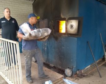 DISE de Avaré incinera 25 quilos de drogas