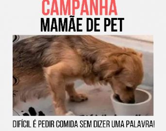 Campanha Mamãe de Pet auxilia pessoas que cuidam de animais em Avaré