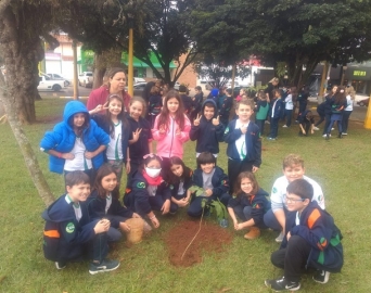 Primavera é celebrada com plantio de árvores em praças de Avaré