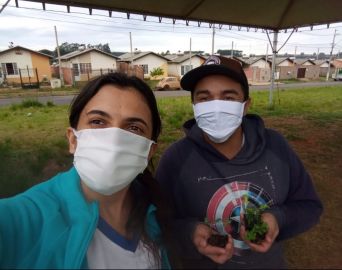 Programa incentiva produção de hortas sustentáveis em Avaré