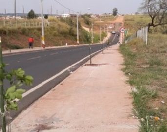 Projeto cria corredor verde em avenida da Vila Jardim