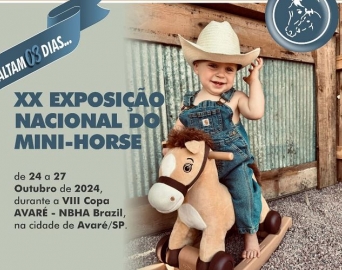 Avaré sedia de 24 a 27 de outubro a XX Exposição Nacional do Mini-Horse 