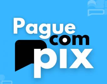 Liberado pagamento de multa, licenciamento e transferência de veículos por Pix