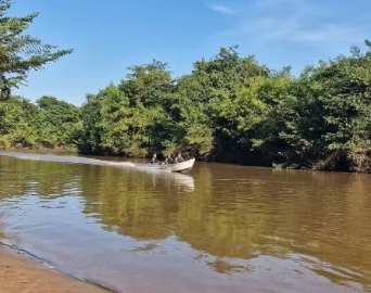 Piracema começa nesta sexta-feira no interior de SP; entenda as regras