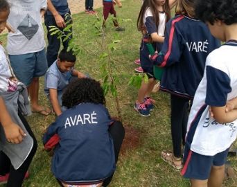 Alunos e moradores plantam mudas em praça no Bairro Alto