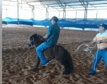 Prefeitura se manifesta sobre denúncia de maus-tratos no Parque de Exposições