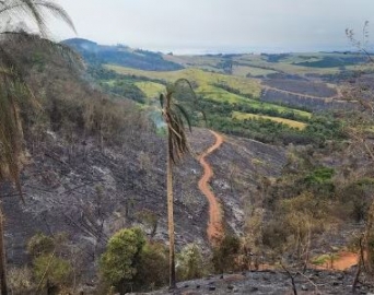 Governo de SP decreta situação de emergência em três cidades da região