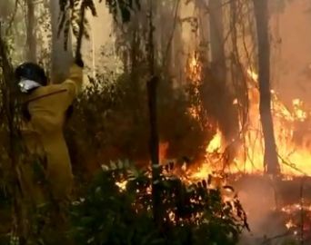 Incêndio atinge área de vegetação no horto florestal de Avaré