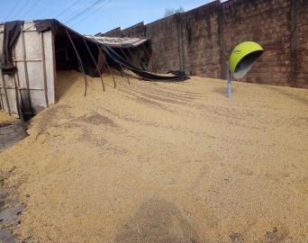 Caminhão carregado com soja tomba na área central de Avaré