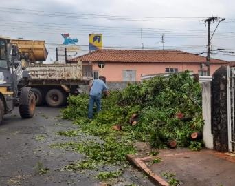 Prefeitura de Avaré trabalha para recuperar danos causados por vendaval