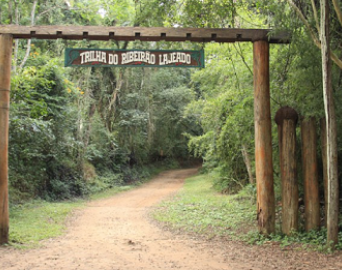 Trilha do Ribeirão Lajeado no Horto Florestal volta a reabrir para visitação