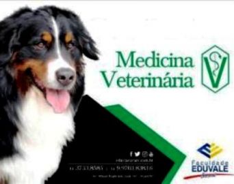 Eduvale anuncia novo curso: Medicina Veterinária